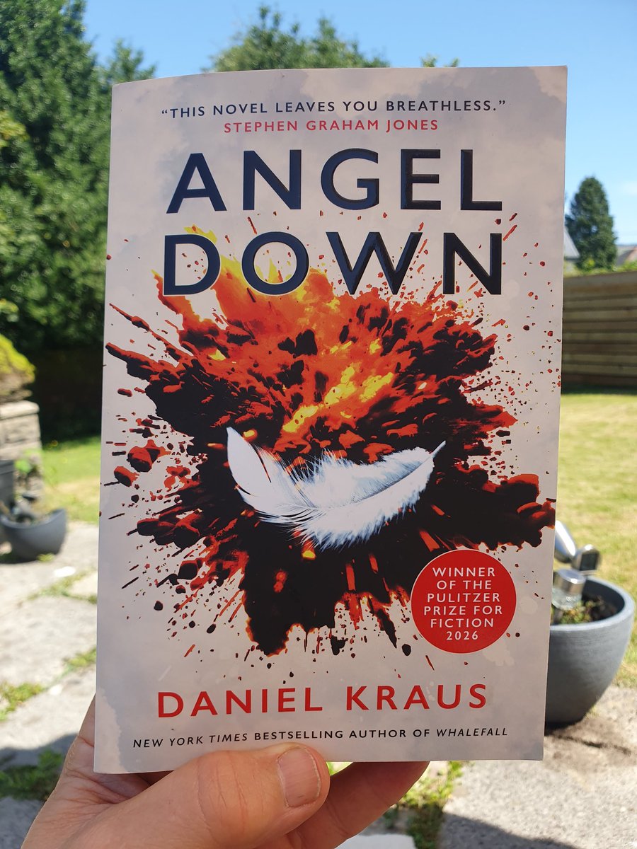 paulthom41's tweet photo. @goodreads Angel Down by Daniel Kraus. https://t.co/zaepoVVCrt