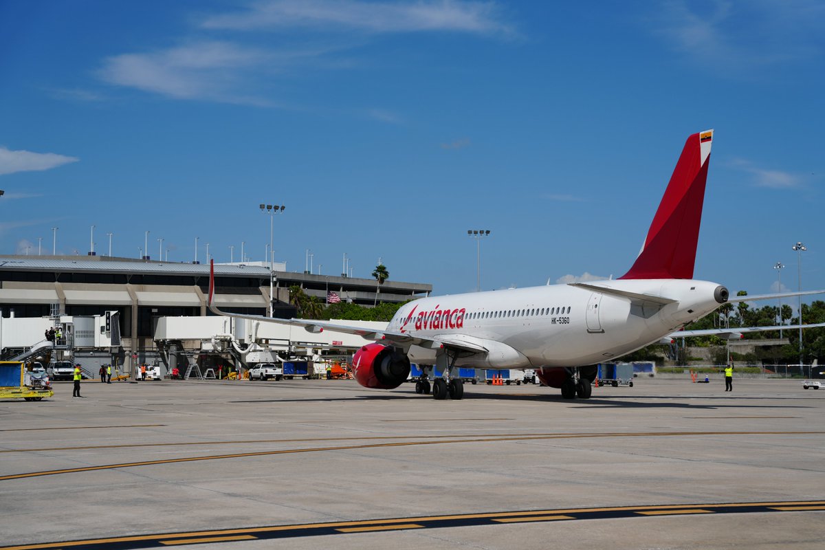 Tampa International Airport ✈️ tweet media