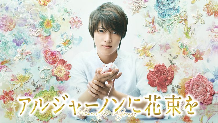 lapinneige4's tweet photo. ここ数日アマプラで「アルジャーノンに花束を」(2015年TBS)を楽しんでいた。原作とは違う、現代でのアレンジがとても良かったし、無垢な咲ちゃんと天才咲人を演じ分けた山下智久素晴らしい。でもひとつだけ感想を、と言われたら…

アルジャーノンがめちゃ可愛かった❗😍🐁

#アルジャーノンに花束を https://t.co/AkUNmh7qJE