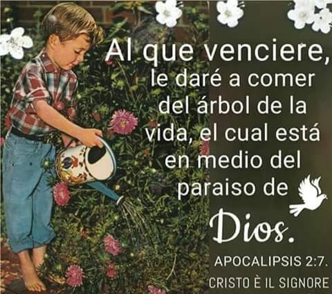 AlexSotoVives's tweet photo. #Jesucristo #YLaVerdadOsHaraLibres #Biblia #IglesiaDeDiosChiapaDeCorzo https://t.co/nRkn16onrX