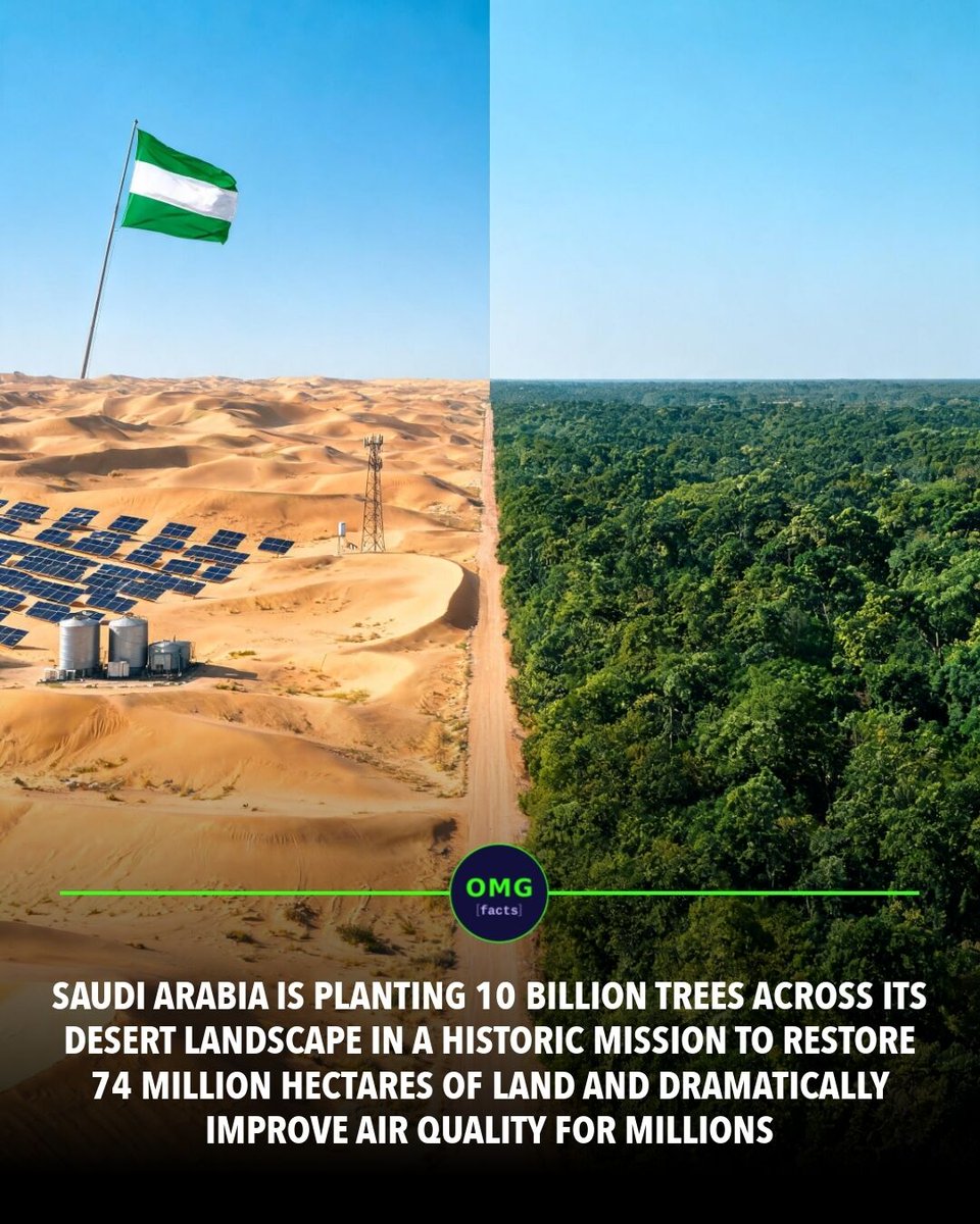OMGFacts's tweet photo. 🌍 Saudi Arabia is planting 10 billion trees in the desert.
The Saudi Green Initiative targets 74M hectares of degraded land.
Reshaping a nation, tree by tree.
Sources: Reuters, World Economic Forum
#omgfacts #Reforestation #ClimateAction https://t.co/aXIi11mJv0