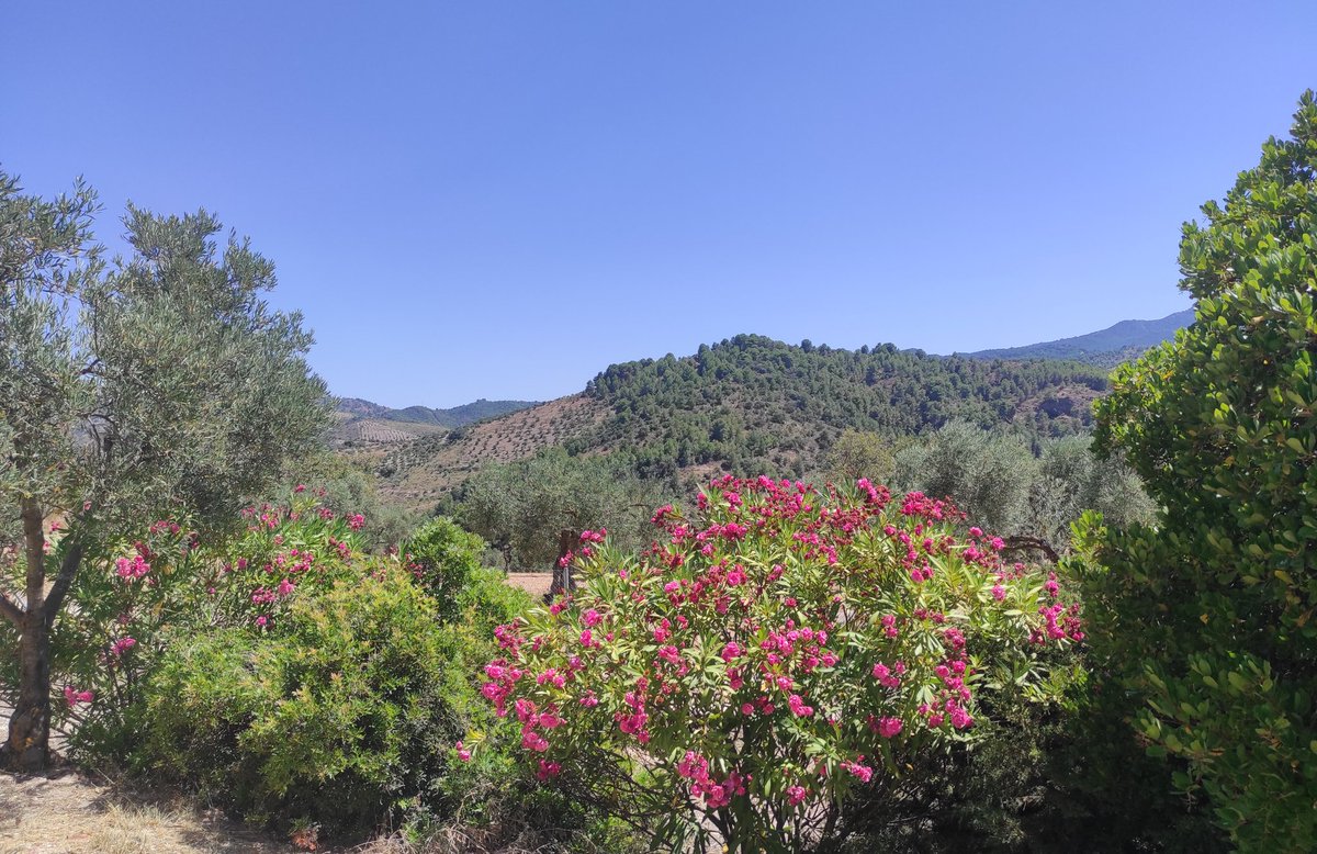 CRuralElSendero's tweet photo. Disfruta una #escapada refrescante a #ElBurgo: baños en río Turón o piscina municipal, #senderismo y #rutas de #bicicleta por bosque, noches frescas y estrelladas, buena gastronomía y #casa #rural: https://t.co/MAfNhnwWef https://t.co/bNNPMbnuUa