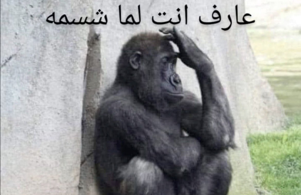 illllli's tweet photo. لا انا دايماً كدا https://t.co/yvwmzRZ2nW