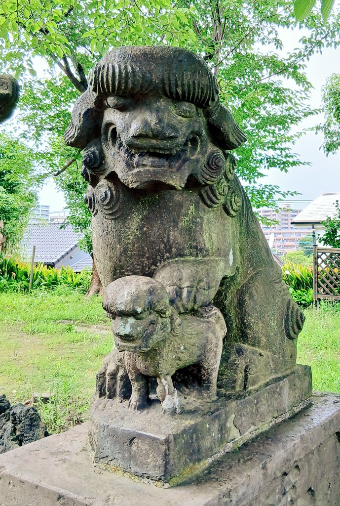 clossaintdenis1's tweet photo. 子煩悩な狛犬のいる御社っていいですね https://t.co/UX2lBI5QZL