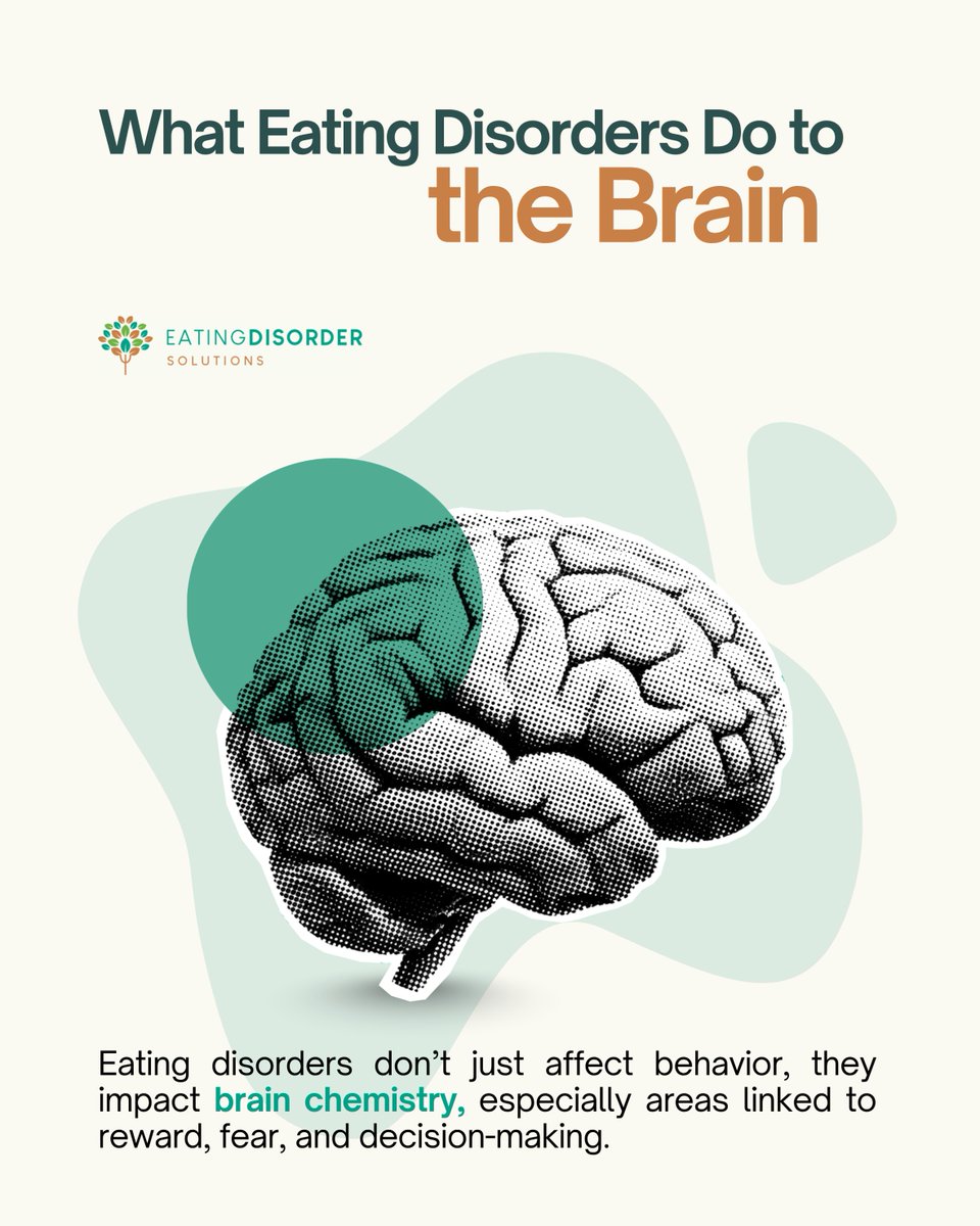 EatingSolution tweet picture