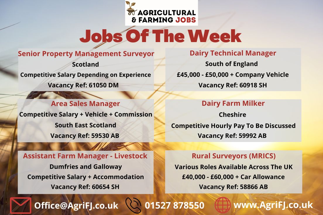 Agriculturaljob's tweet photo. Jobs Of The Week! 🌟
If you would like to find out further information on these job roles and to apply, please visit our website; https://t.co/FogcMc4Y4s
#agrifj #agriculturalandfarmingjobs #jobsoftheweek #jobopportunities #applynow #getintouch #recruitment https://t.co/cvucW488Ja