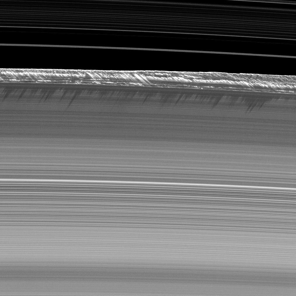 The SETI Institute tweet media