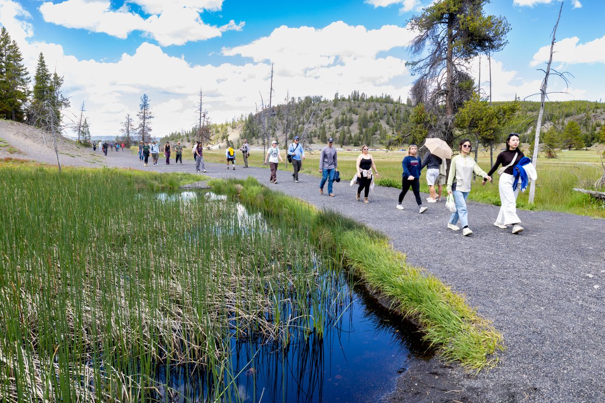 YellowstoneNPS's tweet photo. (News Release) Yellowstone hosted 903,025 recreation visits in June 2026, down 3% from June 2025 (928,250 recreation visits).

Visitation in June 2026 showed a 4% decrease from June 2021 (938,845 recreation visits). The park’s record-breaking year was 2021 with over 4.8 million recreation visits.

So far in 2026, the park has hosted 1,676,678 recreation visits, down 1% from 2025 (1,690,922 recreation visits), and up 6% from 2021 (1,587,998 recreation visits).

Visiting Yellowstone during the busy summer months? Plan ahead by browsing our website and downloading the free NPS app. Protect yourself and the park by taking the Yellowstone Pledge, act responsibly and safely, and set a good example for others.
 
👉 Read more at: https://t.co/cLRyNxtWiI