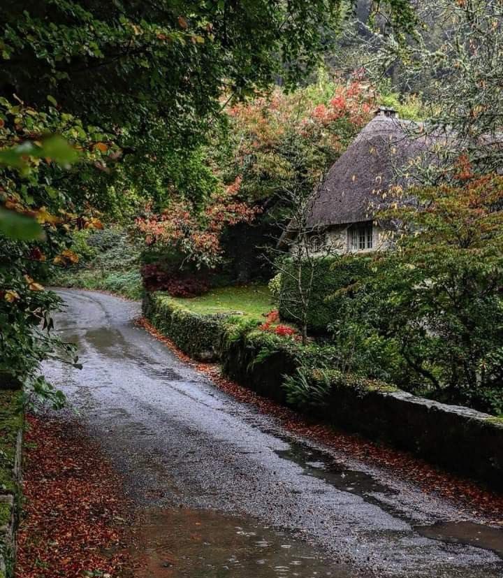 spooky_nature tweet picture