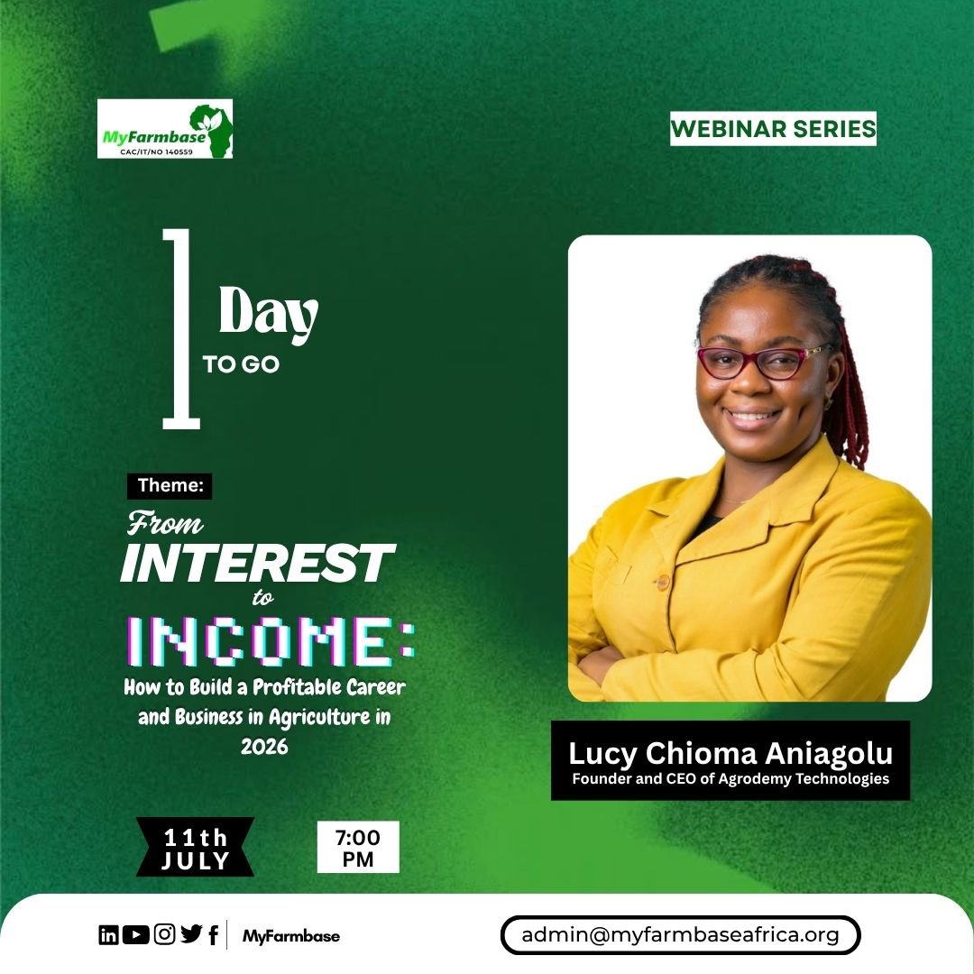 Myfarmbase's tweet photo. Tomorrow, we'll be discussing how to turn your interest in agriculture into real opportunities.

Join Lucy Chioma Aniagolu as she shares practical strategies for building a successful career or business in agriculture.

Tomorrow
7:00 PM (WAT)

Don't come alone, invite a friend! https://t.co/8uSu1F80sa