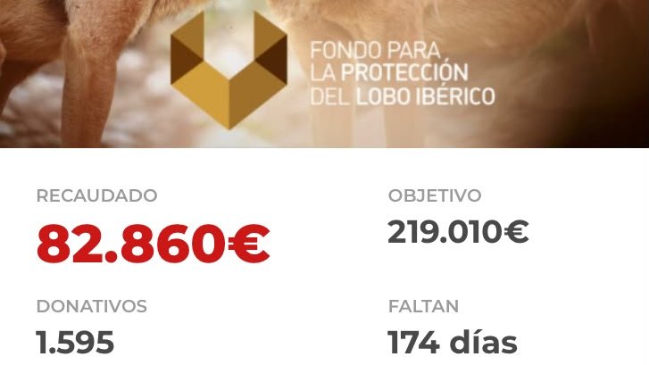 ErnestodMartin's tweet photo. En un año, en solo un año, casi 1.600 personas y más de 80.000 euros han hecho posible poner en marcha todas las acciones judiciales, educativas y de mediación que estamos realizando. Una pasada. Ayudadnos en https://t.co/fKZ5F7ozXD https://t.co/fcFzV5iceA