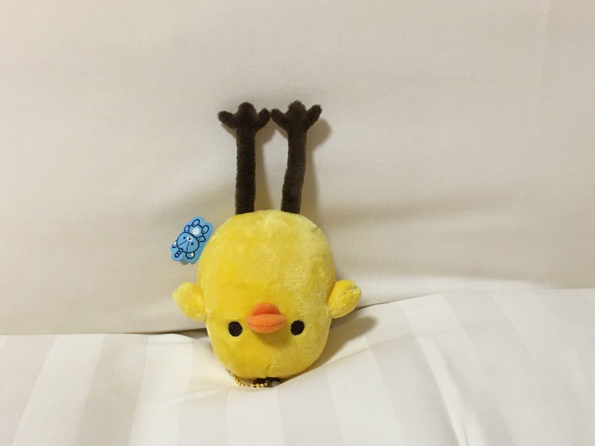muunechandesu's tweet photo. 발레를 선보이는 롱다리 돼병이 https://t.co/wKpZiaQkVj