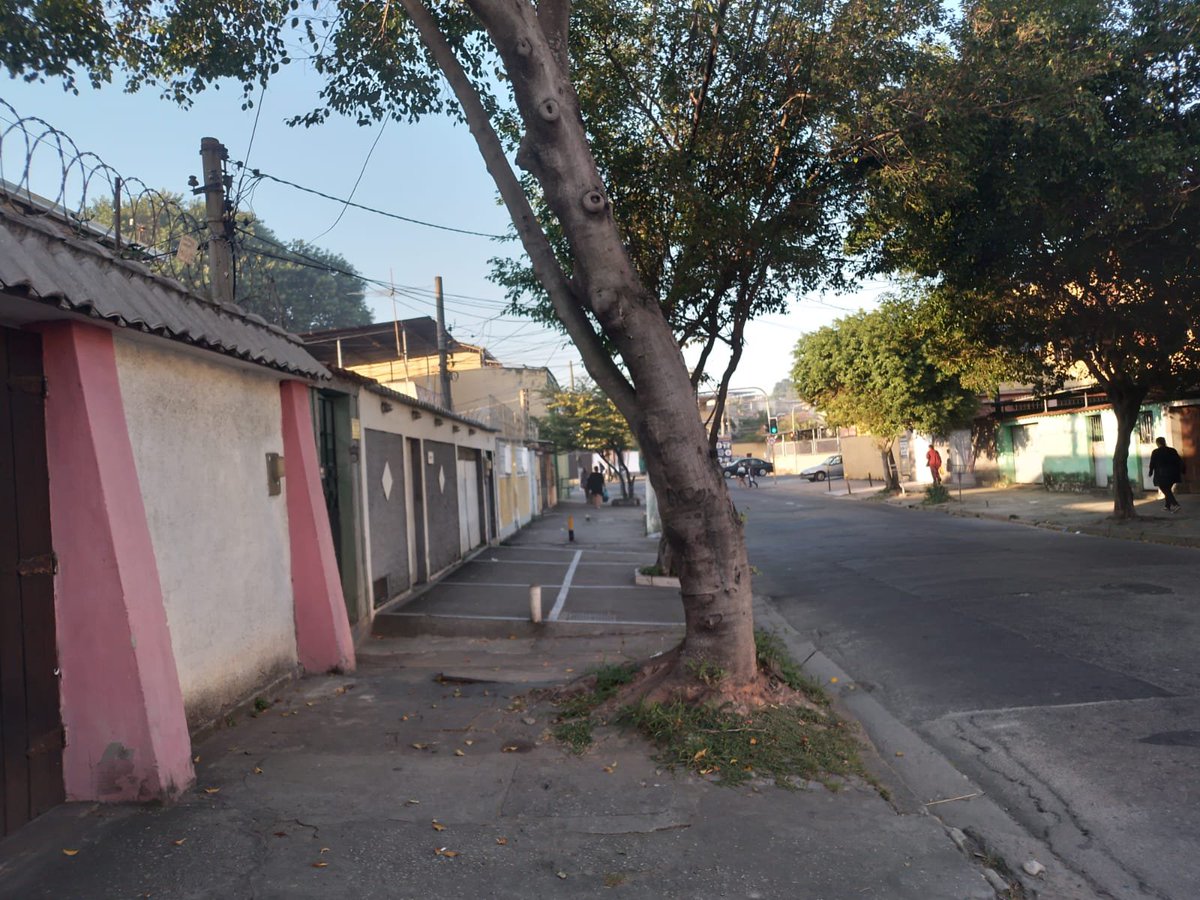 marcosvsq's tweet photo. @Prefeitura_Rio precisamos de um atendimento urgente de remoção de uma árvore situada na rua Sargento Benedito da Silva 133 Pavuna, risco de queda de árvore, colocando em risco minha casa e de vizinhos. 
A @Prefeitura_Rio tem o dever da manutenção do serviço https://t.co/ZbzvZaWdb7
