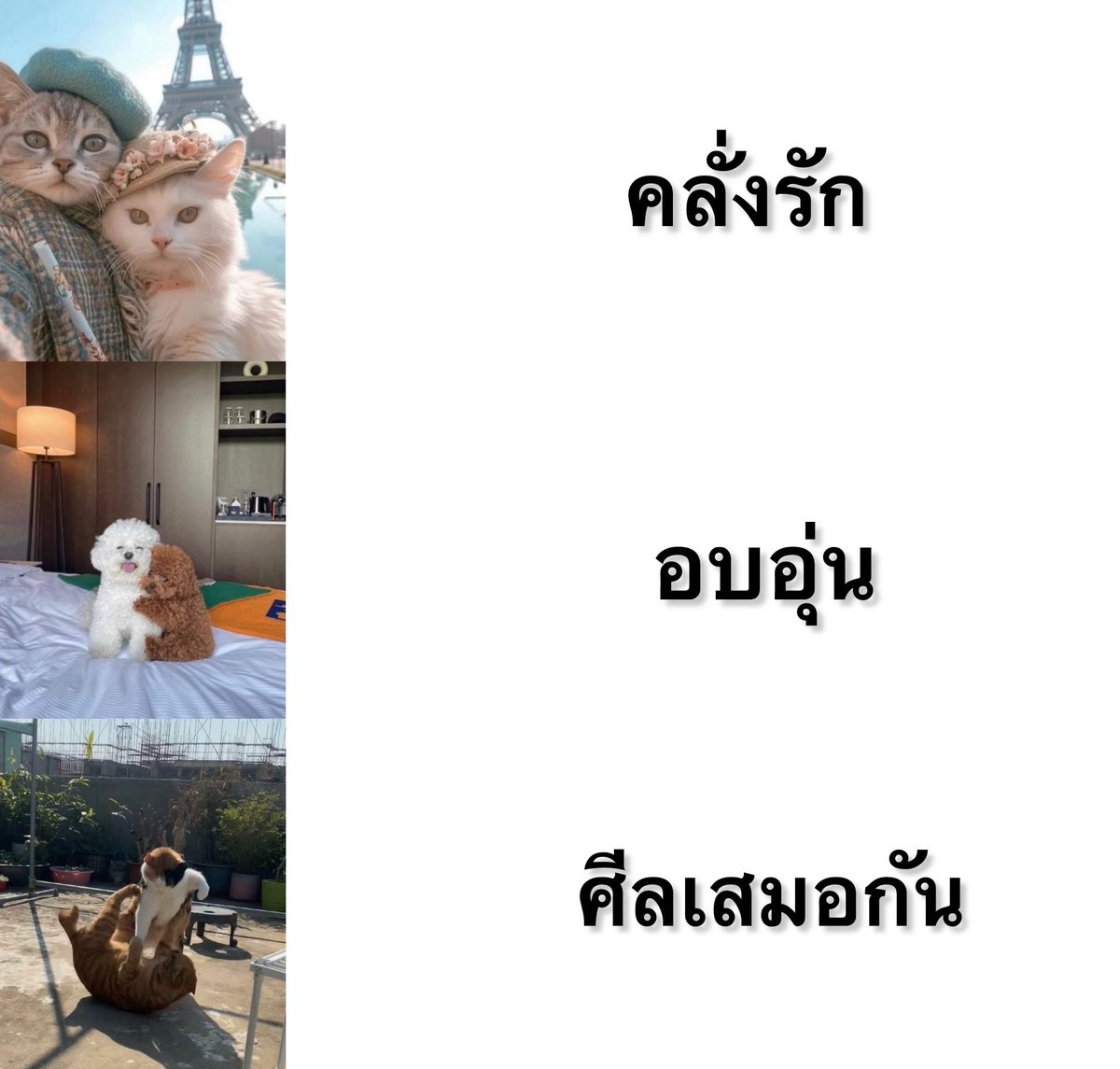 Kerymai_'s tweet photo. คิดว่าคู่ชิปของคุณอยู่โหมดไหน https://t.co/AglOJxSNUo