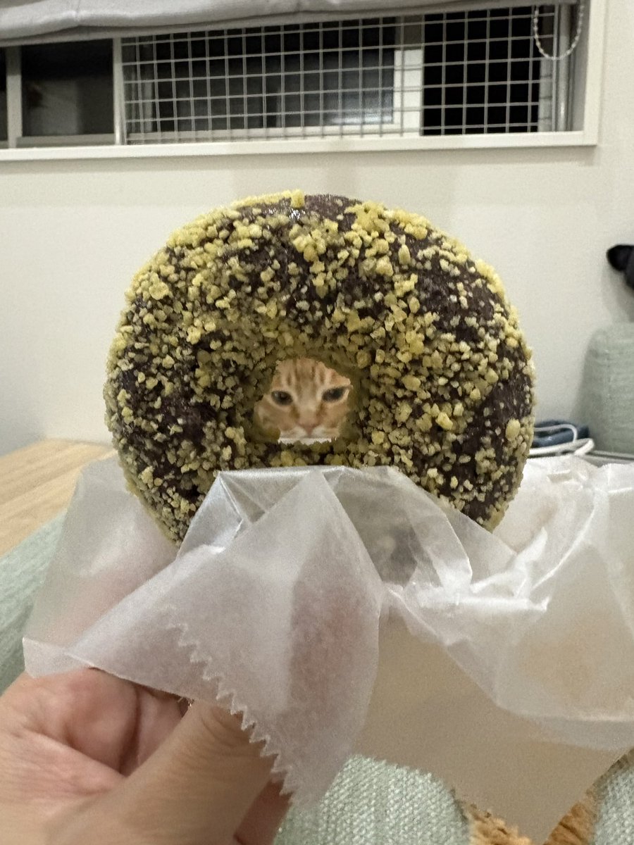 azuhom's tweet photo. お母さんがミスドの袋くれたからもっちゅりん！？！と思ってあげたらゴルチョコだった
うまいよねゴルチョコもさ https://t.co/xarSWkScI7