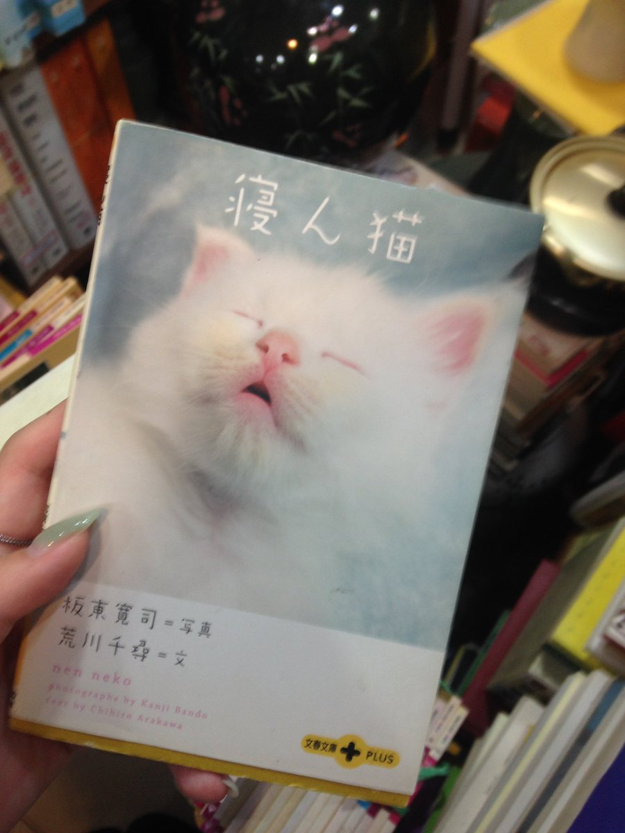 dokinism's tweet photo. 🐈‍⬛🐈 ‧₊˚⌯♡ https://t.co/LqCAyVl508