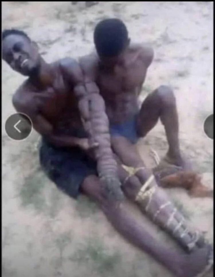 Mobolaji_aa's tweet photo. Conjoined thieves??😂😂 https://t.co/cxZrbwrTQv