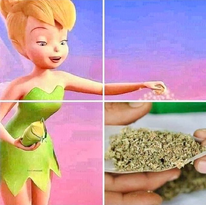 SpaceCannabis 🍃 tweet media