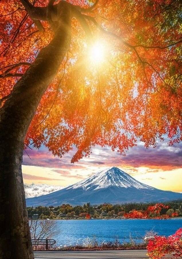 GreenBeaut95749's tweet photo. Good afternoon my friends 🤎
🍂〰️ May your Thursday shine bright with hope, love, and all the good things life has to offer 〰️🍂🍂〰️
🧡 Beautiful day ahead 🧡 https://t.co/woCQpwUaBj