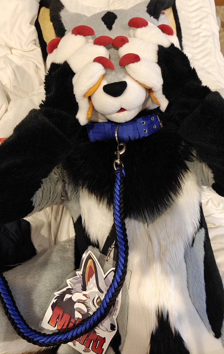 るん (Run)→OFFF (@run_charizard) / Posts / X