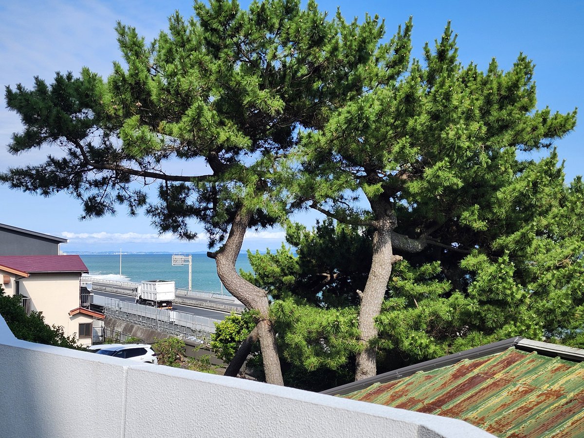 Quiz221B's tweet photo. 今年も海辺の仕事が始まりました🏖️
行きはグリーン車で権米衛🍙、帰りはジャイアントコーン🍦食べました😋片道１時間ばかりの小旅行🚃👜 https://t.co/wQxr2SiQFC