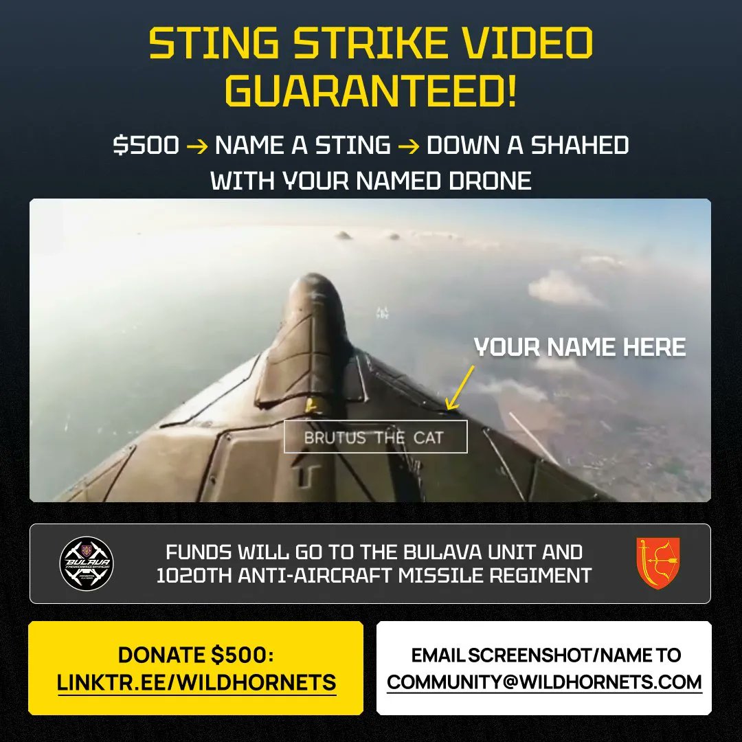ArmedMaidan's tweet photo. @toonie_tuesday @CanadianKobzar @FellaSam79 @20gimsack @Cydsinc @JolokiaTheSpicy @HaraldThorvald1 Friday Fivers for the Wild Hornets raffle partnering for the first time with @Official_NAFO

Join us to boost air defense—help fund a mini-bus for the @BULAVA_FPV interceptor unit

$500 = named STING + guaranteed strike video
https://t.co/ovGGSgHLSb https://t.co/NFrOfjBa0R