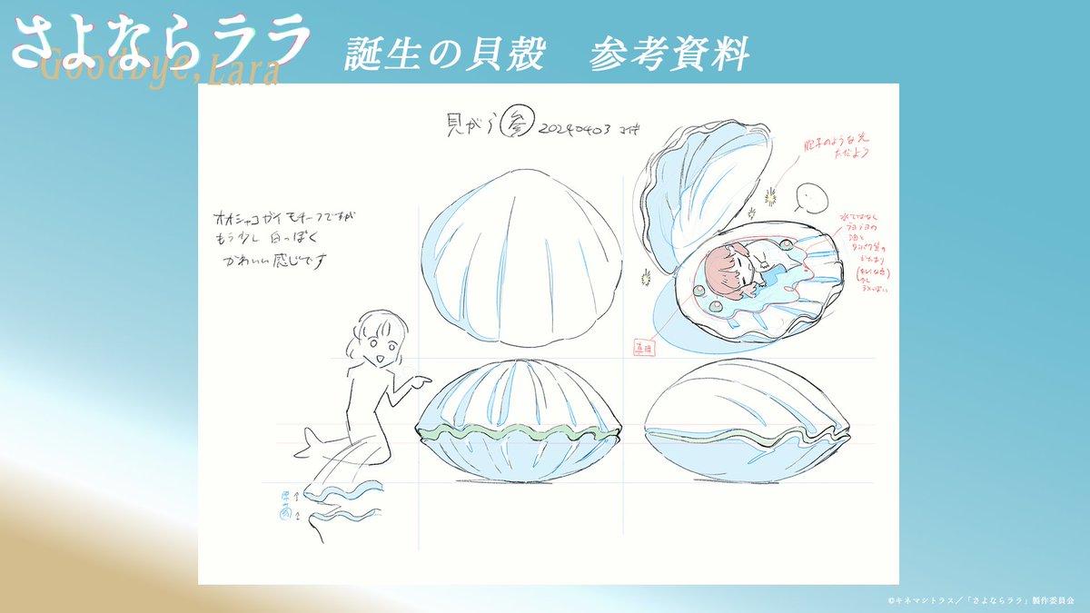Goodbye_Lara's tweet photo. 🐚⁺‧┈#さよならララ 設定公開┈‧⁺ 🫧˚

第1話「人魚姫ララ」より
ララが生まれた貝殻の参考資料です🧜‍♀️

監督　#小出卓史 さん
「オオシャコガイモチーフですが、もう少し白っぽくかわいい感じです」 https://t.co/VMxibQdDag