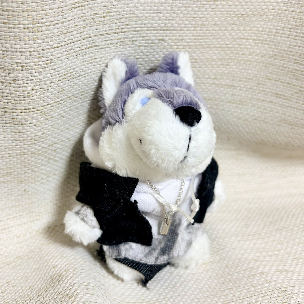 maitakemaityan's tweet photo. ハスキーのぬいを発見したので連れ帰ってお洋服を着せてみました。お顔可愛いすぎて全然デスペラードじゃないね😌 https://t.co/tbIFwQaJU7