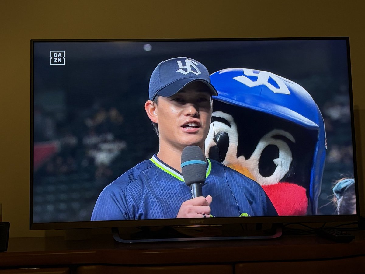mainan_ys's tweet photo. なんかおっきいね🐧
 #swallows https://t.co/DNZ2trlbpO