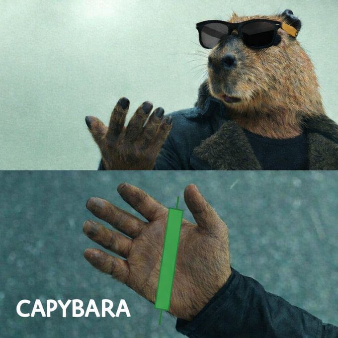 01Timmi's tweet photo. While the weak folded, $CAPYBARA stood tall. Viral resilience turned into Solana’s chillest meme coin. Community is building, dips are for loading, and the herd keeps winning. This ain’t just a token. It’s a vibe. Unbothered. Unbreakable. Unstoppable. @Capybaraon_sola is built solid!

Ca: 8qipLp9tPMkhGaf6qW3BzVzyjba1QztZooCzZAw7pump