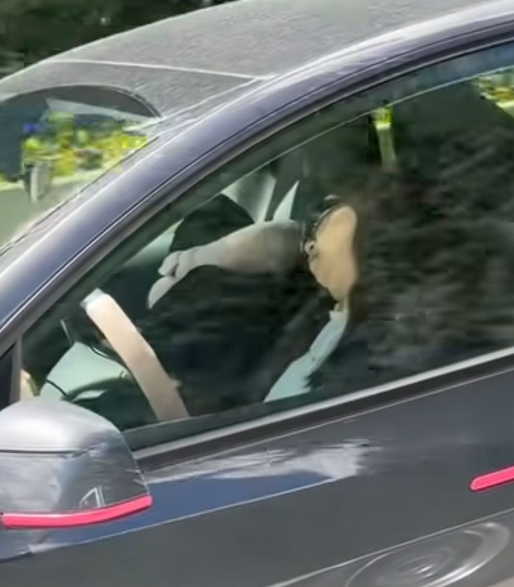 Dexerto's tweet photo. A woman has gone viral after being videoed asleep behind the wheel of her Tesla while on a highway https://t.co/LkZ0TKvlxD