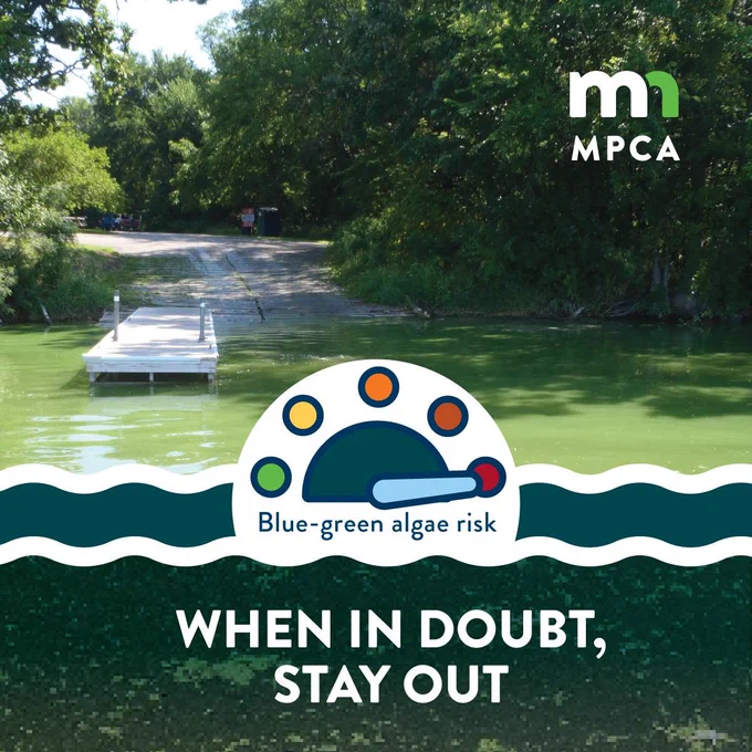 A lake turned green with algae and text reading "blue-green algae risk. When in doubt, stay out."