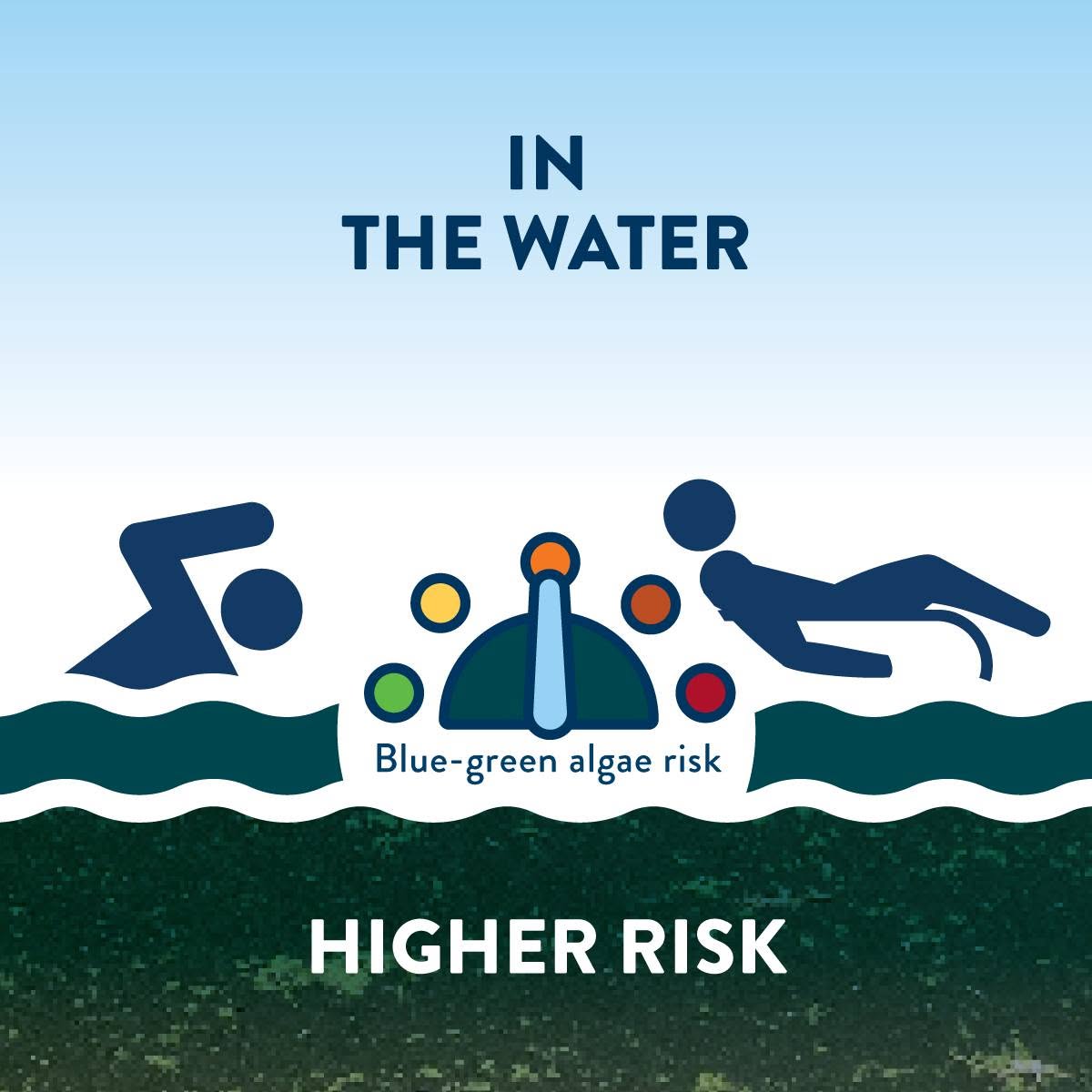 MnPCA's tweet photo. It's hot, and hot, calm weather is what algal blooms need to grow. Swimming in water with toxic blue-green algae can have major health impacts, especially for kids and pets. If you're seeing green on your local lake, consider making alternative plans. When in doubt, stay out! https://t.co/zQODaj2837