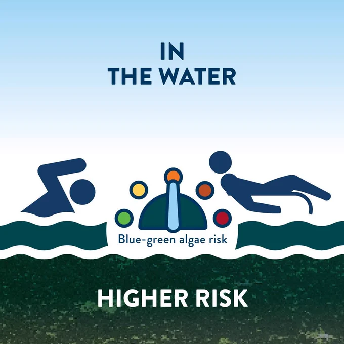Icon of a person swimming in a lake and another person on an innertube. Text reads: "In the water. Blue-green algae risk: higher risk."