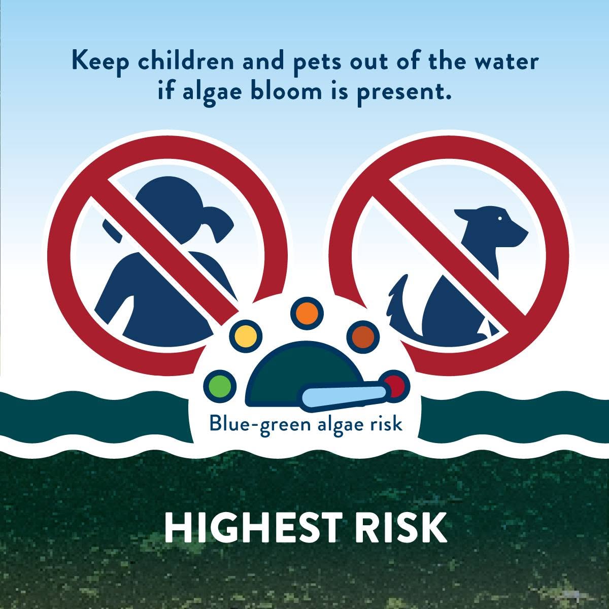 MnPCA's tweet photo. It's hot, and hot, calm weather is what algal blooms need to grow. Swimming in water with toxic blue-green algae can have major health impacts, especially for kids and pets. If you're seeing green on your local lake, consider making alternative plans. When in doubt, stay out! https://t.co/zQODaj2837