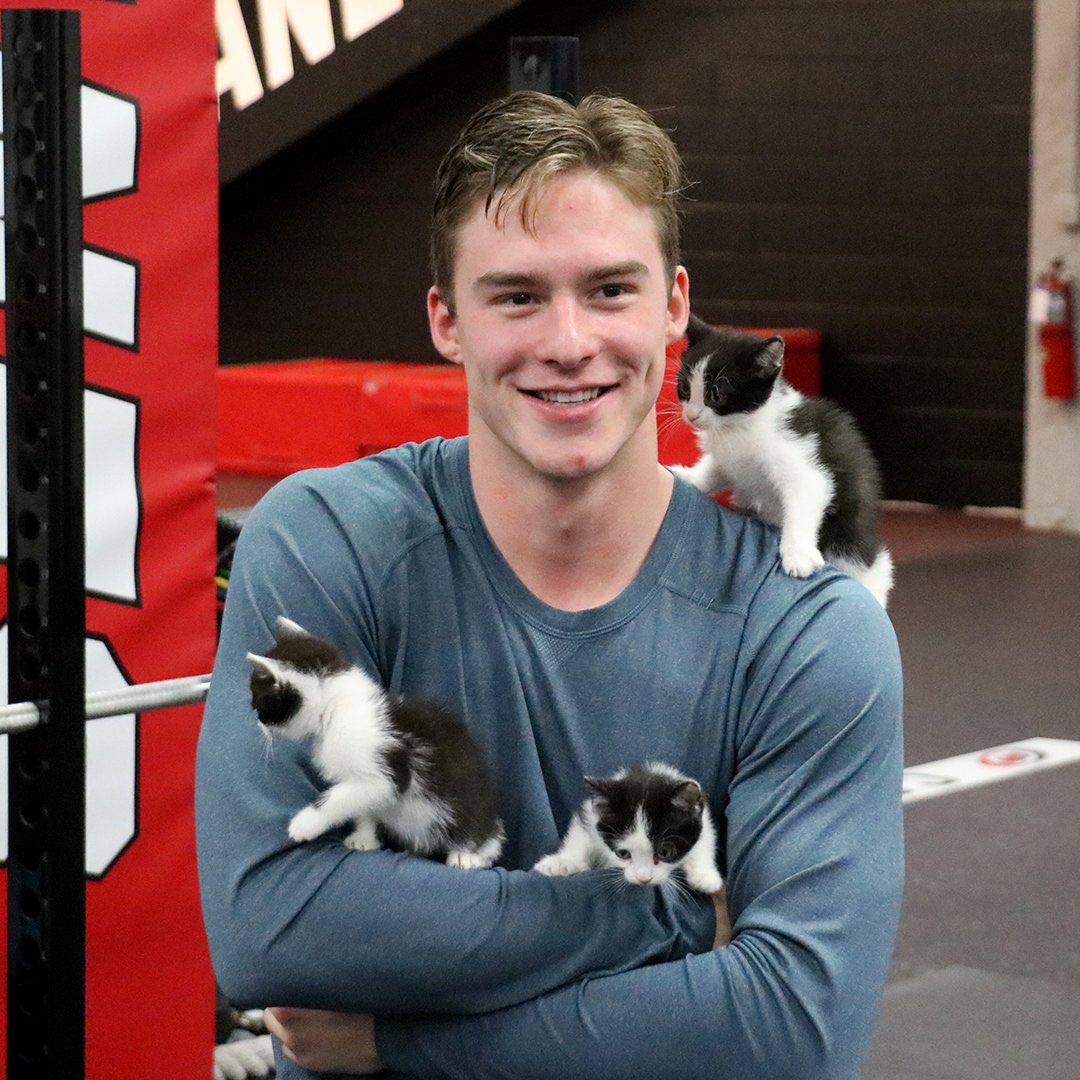 spongebobsloth's tweet photo. Happy National Kitten day from svech https://t.co/tasjAFenio
