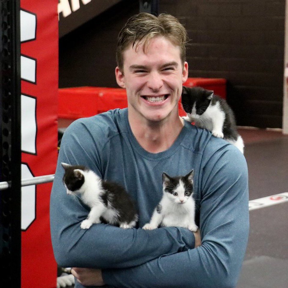 spongebobsloth's tweet photo. Happy National Kitten day from svech https://t.co/tasjAFenio