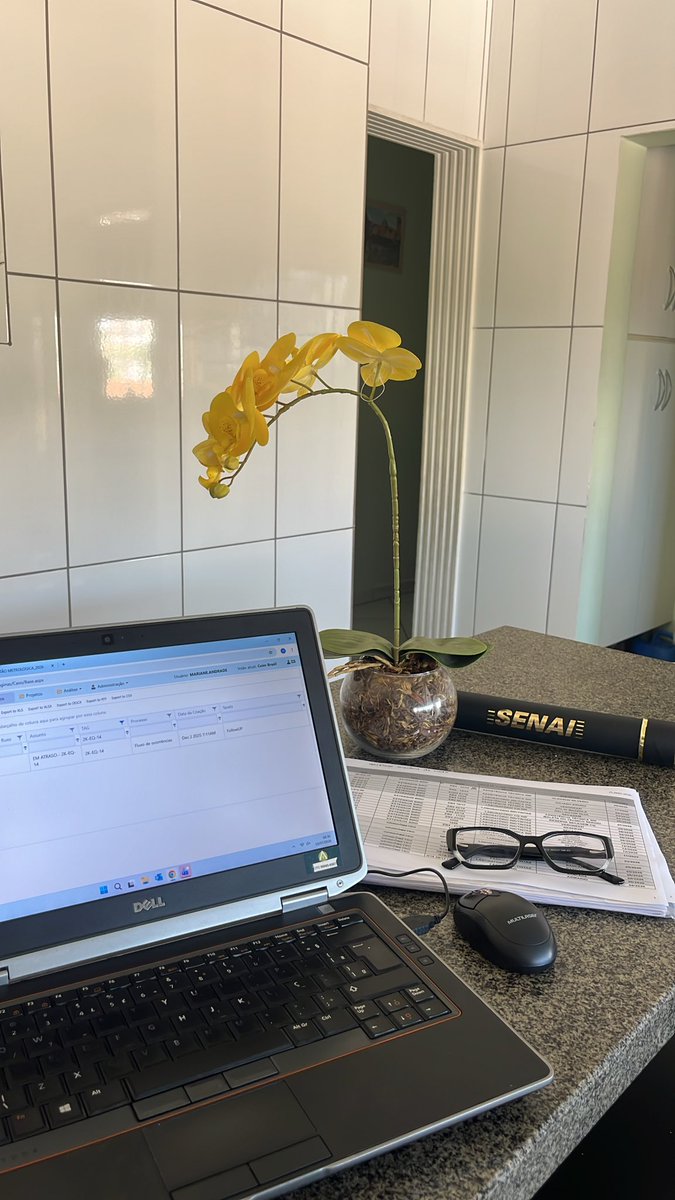 coe_mariih's tweet photo. eu viveria de home office https://t.co/xOIKXTXTqW