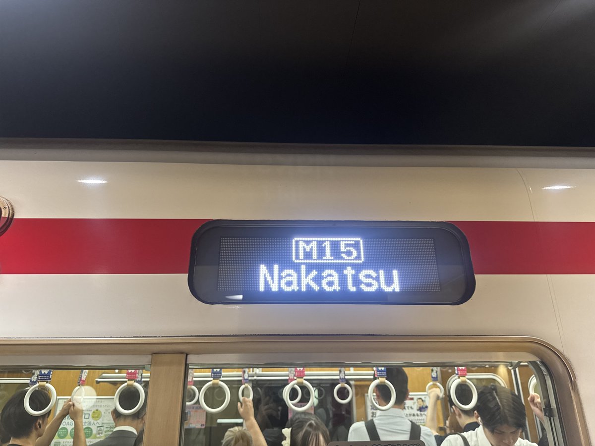 とげまる (@nao_penchan) / Posts / X