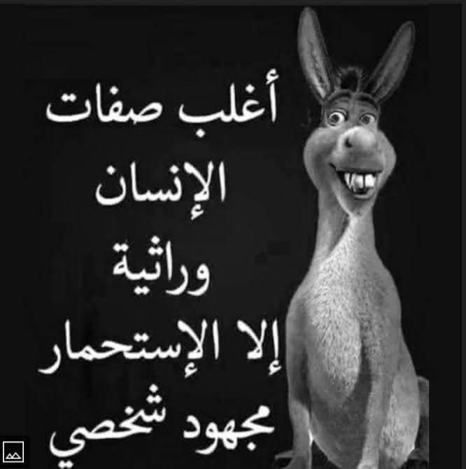 AkeelHanano's tweet photo. @MaissaAlkabbani https://t.co/xUPUkmY4yD