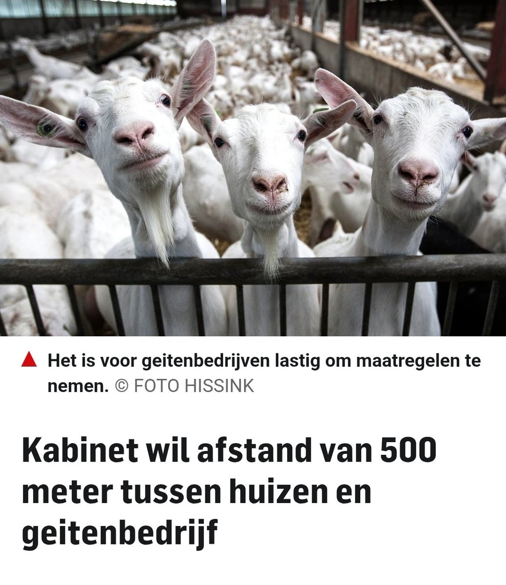 Karin_B_E's tweet photo. Geen bewijs (oa niet genoeg longontstekingen gevonden),
tóch regelgeving. De boer als paria.
🐐
De angst regeert... https://t.co/e1ru4fowTE