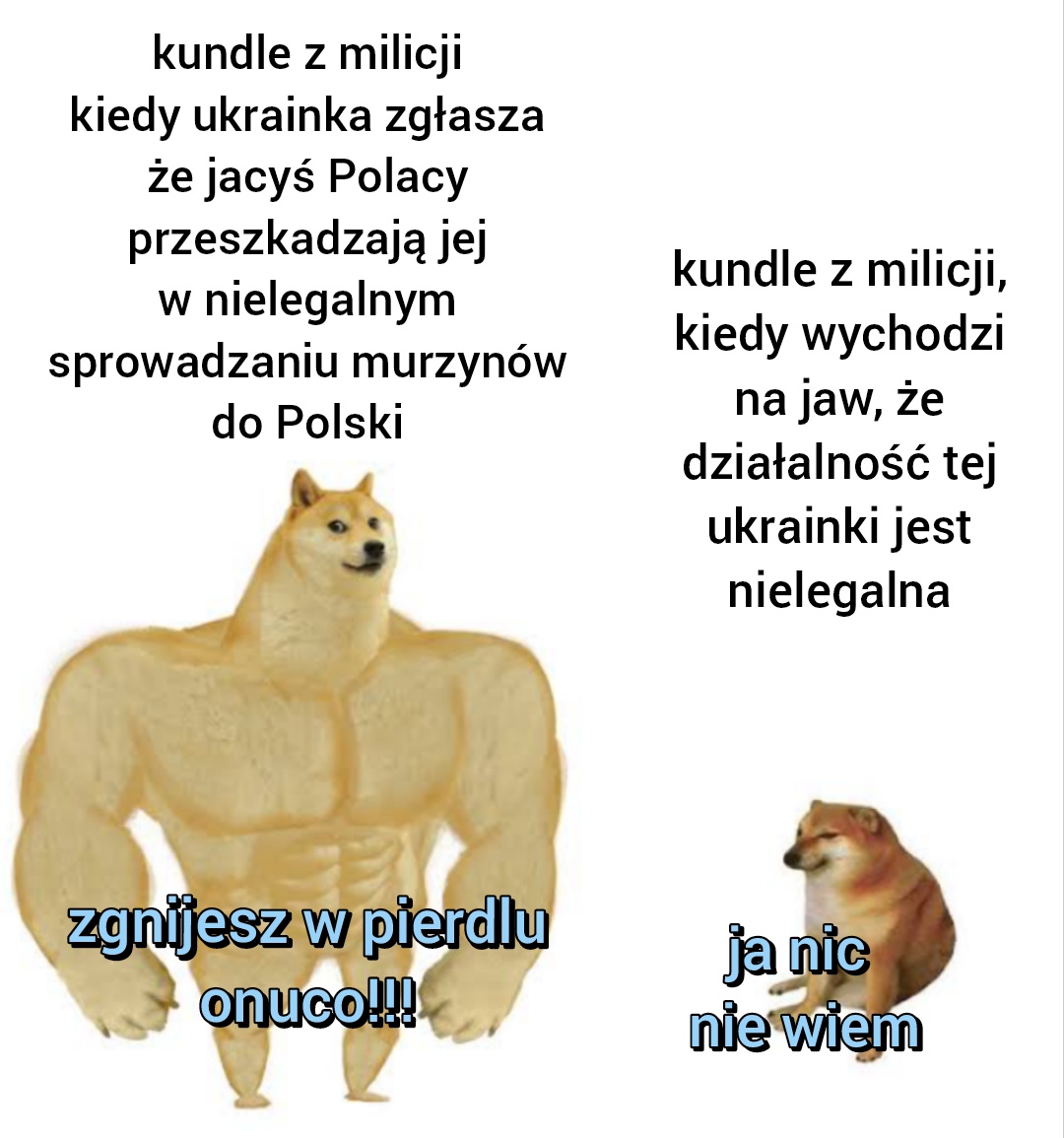 ChopAntoni1's tweet photo. Byli kurwami za plandemii, są kurwami za ukrainizacji https://t.co/7KwM9UOCKd