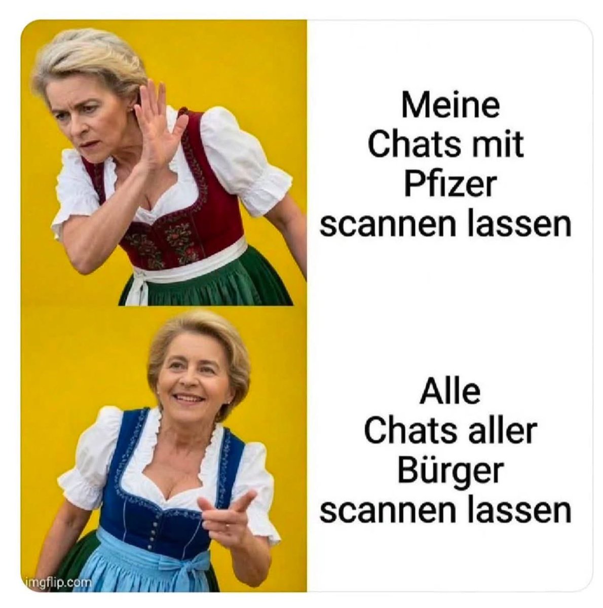 KlimaB4's tweet photo. Als bräuchte man die AfD, um die Demokratie abzuschaffen. #chatkontrolle https://t.co/f53TDDfxs7