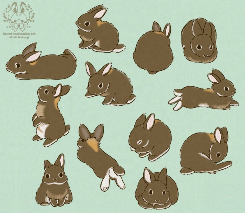 うちのうさぎ🐇🤎