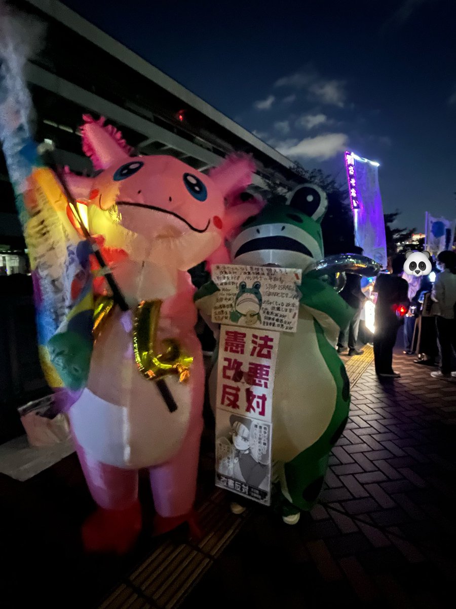 カエル🐸さん！ 会いたかったケロ 恐竜さんは見かけました 白いのと