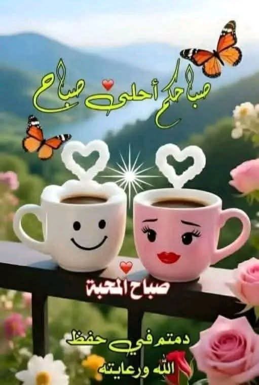MEvamerheb's tweet photo. @Amalalam15 https://t.co/unSFRcH7jU