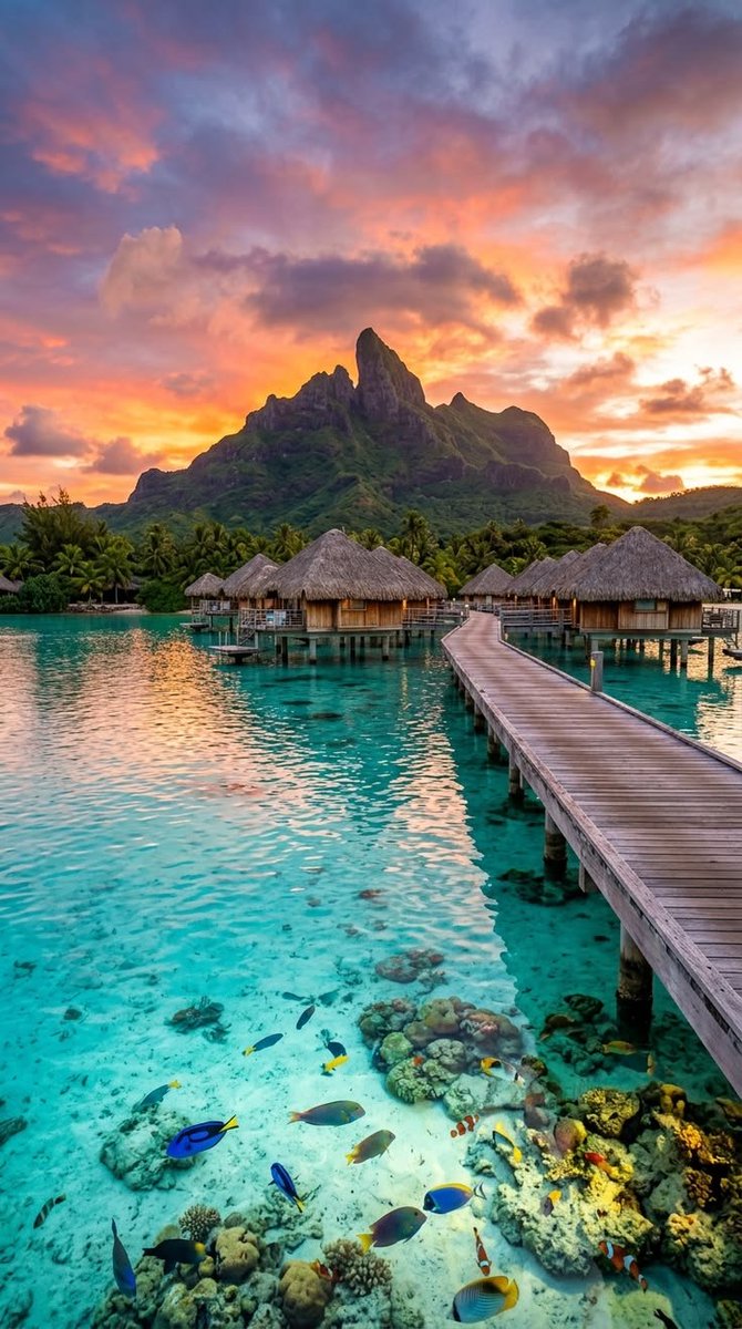 GWorld16141's tweet photo. Bora Bora https://t.co/KoehtYi4yV