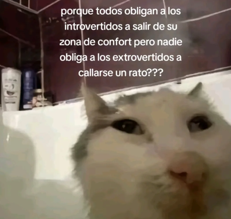 _onerolita's tweet photo. por que? https://t.co/5oyLD4aWzY