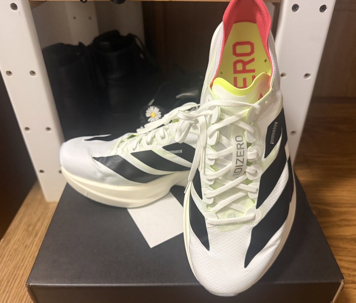 collect_ions's tweet photo. おNEWランシュー

強そう https://t.co/Ca7zwbF1KA