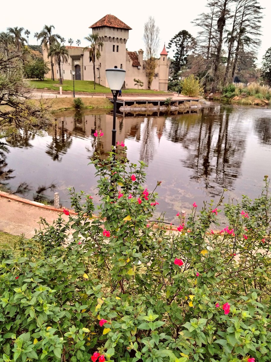 JulioPorra1's tweet photo. Florcitas invernales pintan de colores el parque.
Lago del Parque Rodó. Montevideo. Uruguay. https://t.co/mILb4pPTuU